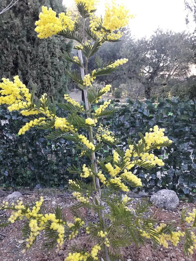 Villa Hortensias Salernes 0*,  France
